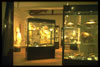 Sala espositiva
